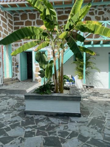 Hacienda De Las Indias, Cali Granadilla De Abona Exterior foto